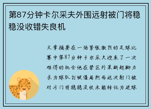 第87分钟卡尔采夫外围远射被门将稳稳没收错失良机